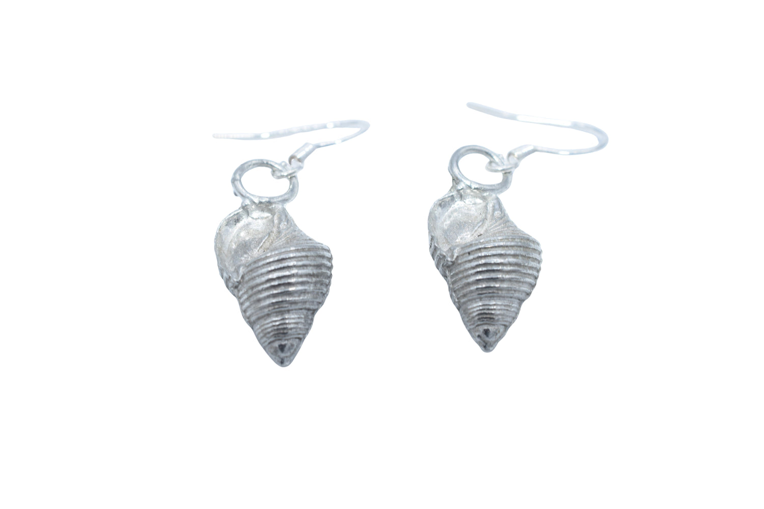 Seashell Tin Earrings
